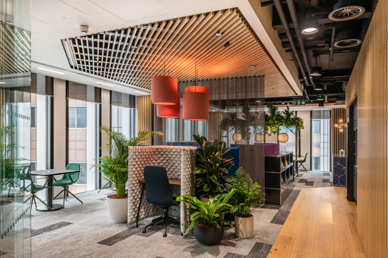 Plant Profile | Nature at Work: Biophilic Design for Creative Spaces.